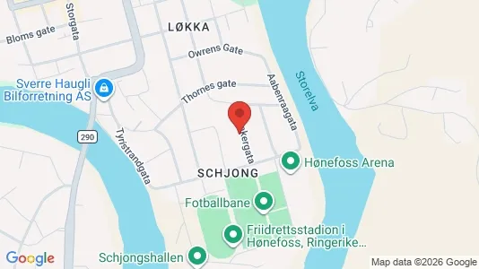 Rooms for rent i Ringerike - kort over placeringen