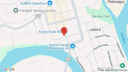 Apartments for rent i Ringerike - kort over placeringen