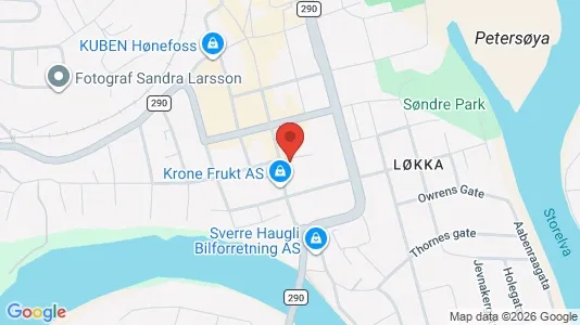 Apartments for rent i Ringerike - kort over placeringen