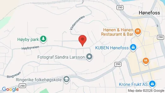 Apartments for rent i Ringerike - kort over placeringen