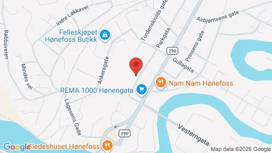 Apartments for rent i Ringerike - kort over placeringen