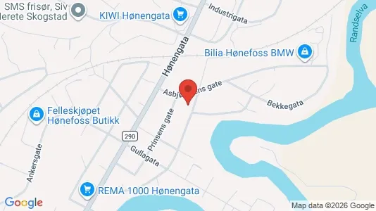Apartments for rent i Ringerike - kort over placeringen