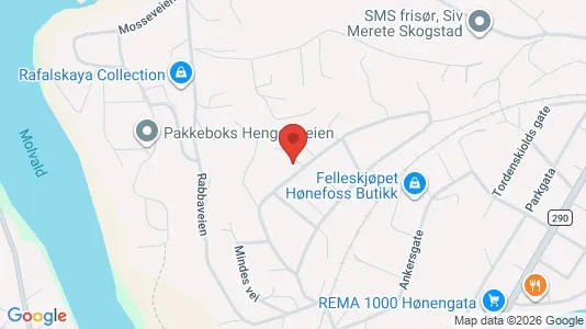 Apartments for rent i Ringerike - kort over placeringen