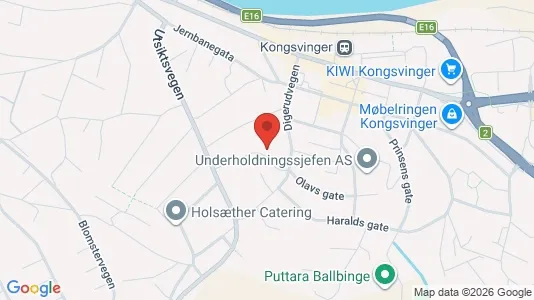 Apartments for rent i Kongsvinger - kort over placeringen