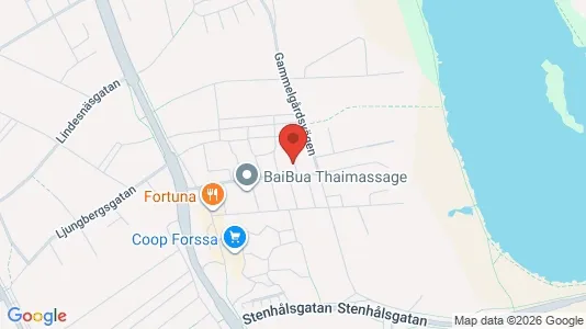 Apartments for rent i Borlänge - kort over placeringen
