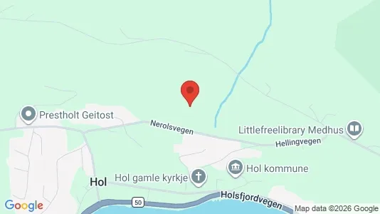 Apartments for rent i Hol - kort over placeringen