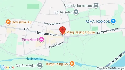 Apartments for rent i Gol - kort over placeringen