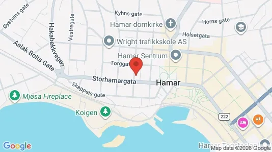 Apartments for rent i Hamar - kort over placeringen