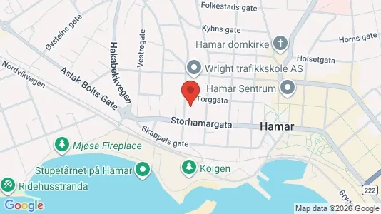 Apartments for rent i Hamar - kort over placeringen