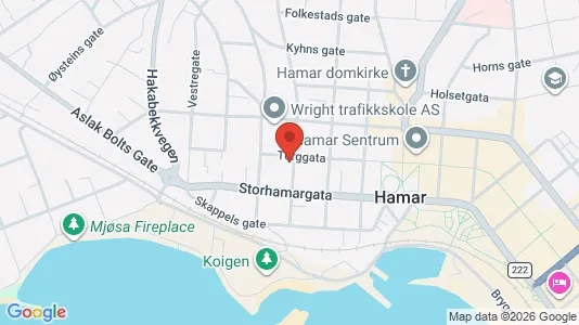 Apartments for rent i Hamar - kort over placeringen