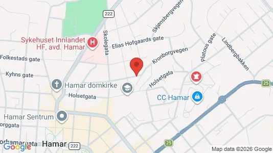 Apartments for rent i Hamar - kort over placeringen
