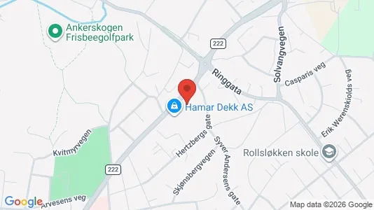 Apartments for rent i Hamar - kort over placeringen