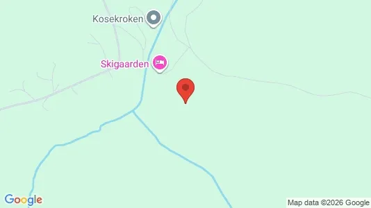 Apartments for rent i Hemsedal - kort over placeringen