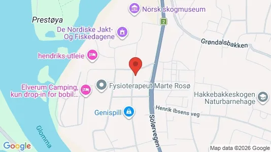 Apartments for rent i Elverum - kort over placeringen