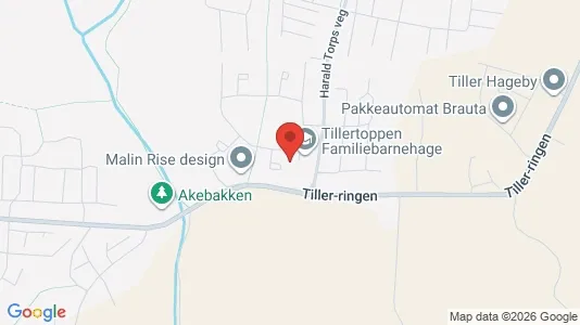 Apartments for rent i Trondheim Heimdal - kort over placeringen