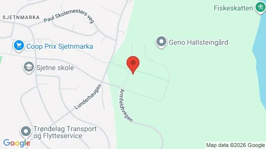 Apartments for rent i Trondheim Lerkendal - kort over placeringen