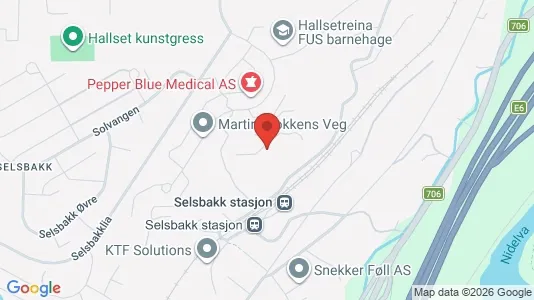 Apartments for rent i Trondheim Midtbyen - kort over placeringen