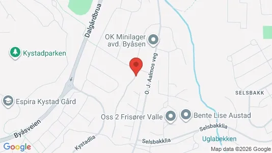 Apartments for rent i Trondheim Midtbyen - kort over placeringen