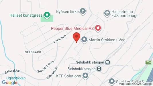 Apartments for rent i Trondheim Midtbyen - kort over placeringen