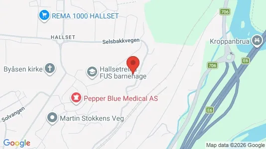 Apartments for rent i Trondheim Midtbyen - kort over placeringen