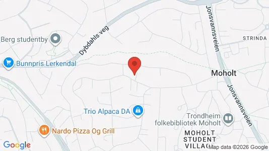 Apartments for rent i Trondheim Lerkendal - kort over placeringen