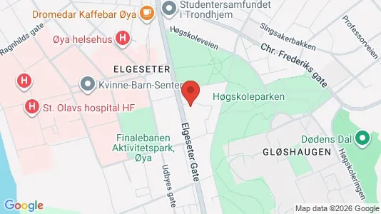 Apartments for rent i Trondheim Midtbyen - kort over placeringen