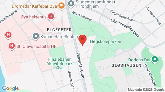 Apartments for rent i Trondheim Midtbyen - kort over placeringen