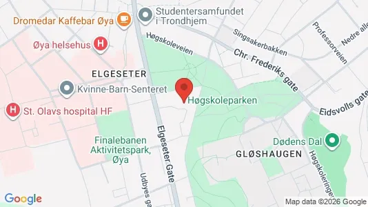 Apartments for rent i Trondheim Midtbyen - kort over placeringen