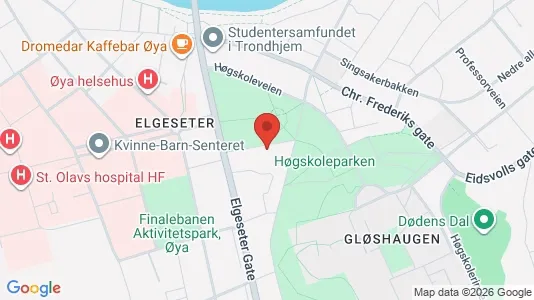 Apartments for rent i Trondheim Midtbyen - kort over placeringen