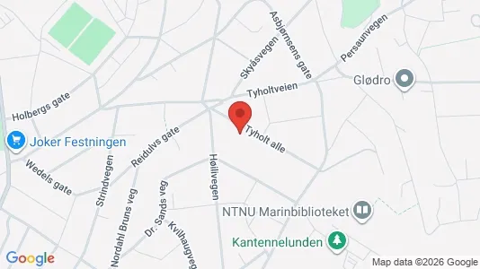 Apartments for rent i Trondheim Midtbyen - kort over placeringen