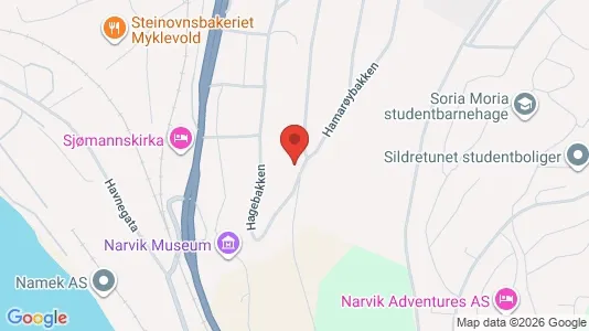 Rooms for rent i Narvik - kort over placeringen