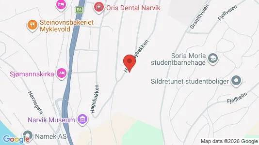 Apartments for rent i Narvik - kort over placeringen