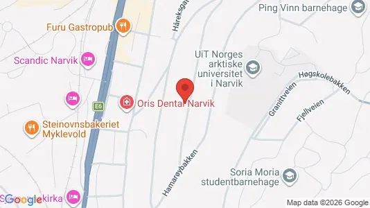 Apartments for rent i Narvik - kort over placeringen