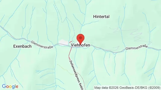 Apartments for rent i Viehhofen - kort over placeringen