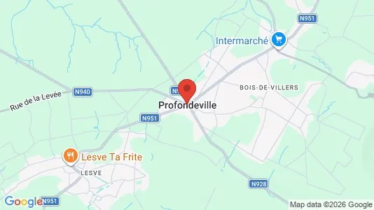 Houses for rent i Profondeville - kort over placeringen
