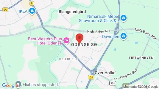 Houses for rent i Odense SØ - kort over placeringen