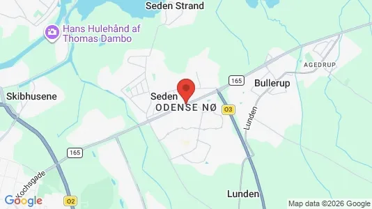Apartments for rent i Odense NØ - kort over placeringen