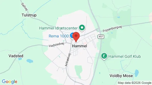 Apartments for rent i Hammel - kort over placeringen