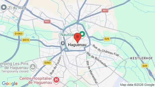 Houses for rent i Haguenau-Wissembourg - kort over placeringen