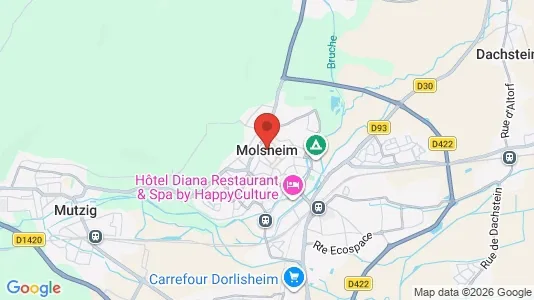 Houses for rent i Molsheim - kort over placeringen