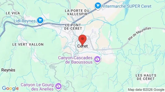 Houses for rent i Céret - kort over placeringen
