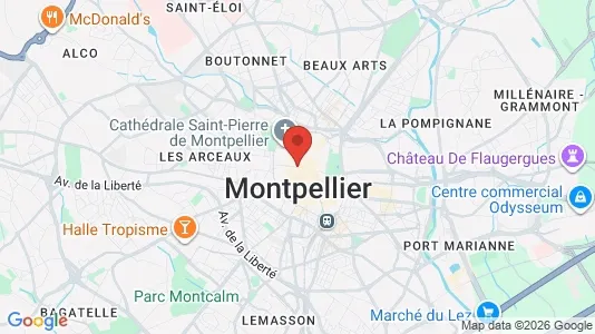 Houses for rent i Montpellier - kort over placeringen