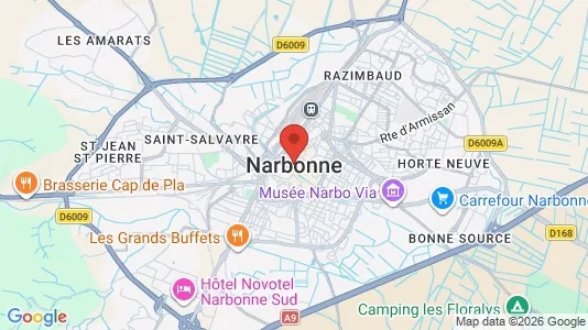 Houses for rent i Narbonne - kort over placeringen