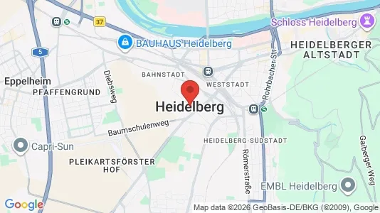 Apartments for rent i Heidelberg - kort over placeringen