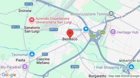 Apartments for rent i Beinasco - kort over placeringen