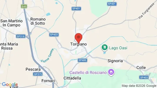 Houses for rent i Torgiano - kort over placeringen