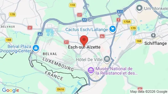 Houses for rent i Esch-sur-Alzette - kort over placeringen