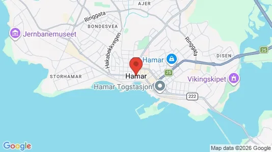 Houses for rent i Hamar - kort over placeringen