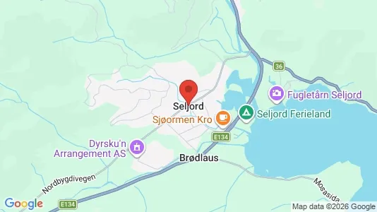 Houses for rent i Seljord - kort over placeringen