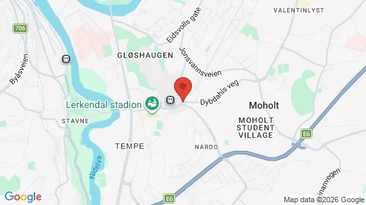 Houses for rent i Trondheim Lerkendal - kort over placeringen
